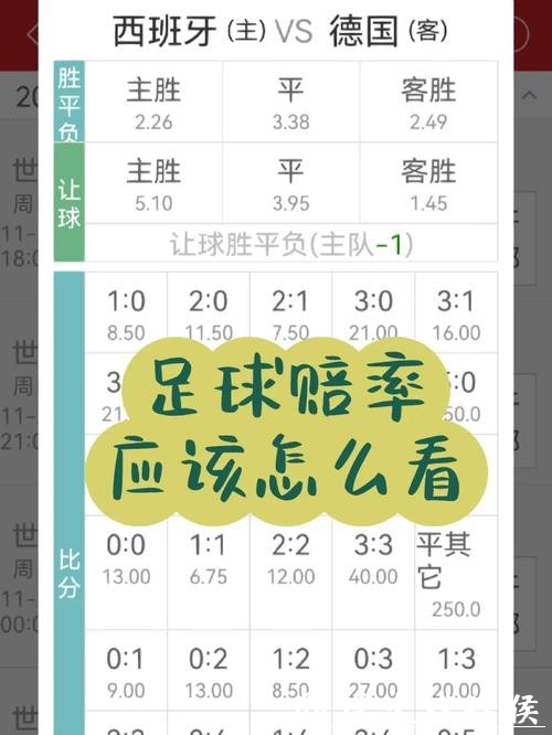 世界杯投注官网：热门冠军赔率参考指南